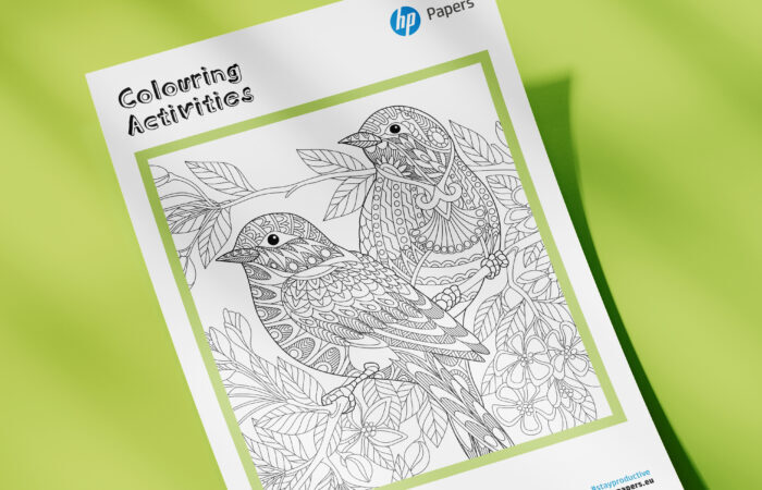 HP Colouring - birds